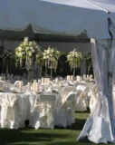 Candelabras & Accessories Candelabras & Accessories